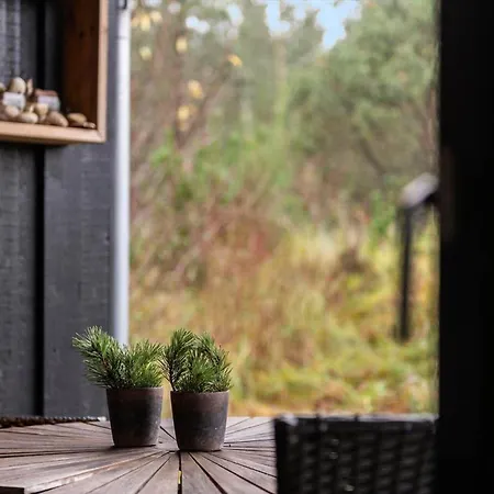 Bv433-blavand-ved-heksebjerg-8 Vakantiehuis *