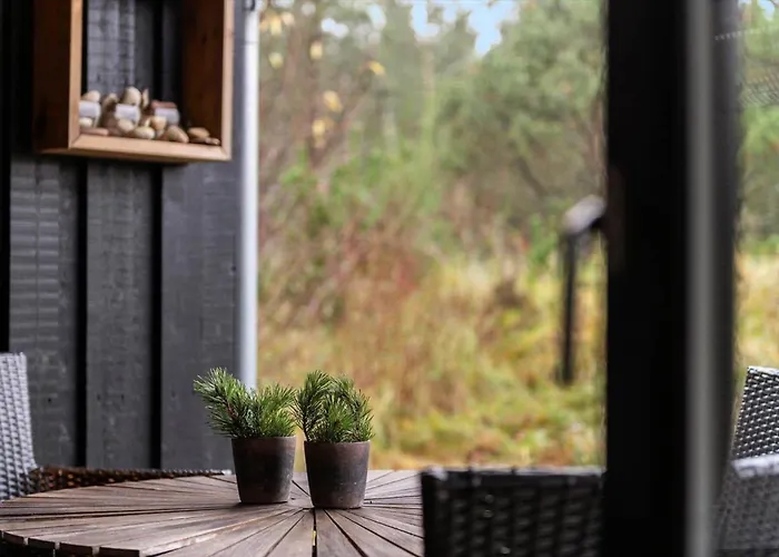 Bv433-blavand-ved-heksebjerg-8 Vakantiehuis *